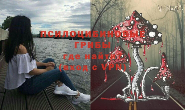 крисы Куйбышев