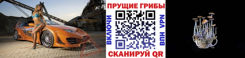 Псилоцибиновые грибы прущие грибы Сосногорск